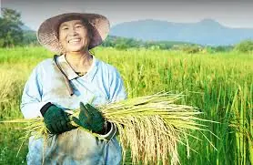 LƯỚI CHE NẮNG HƯNG PHÁT